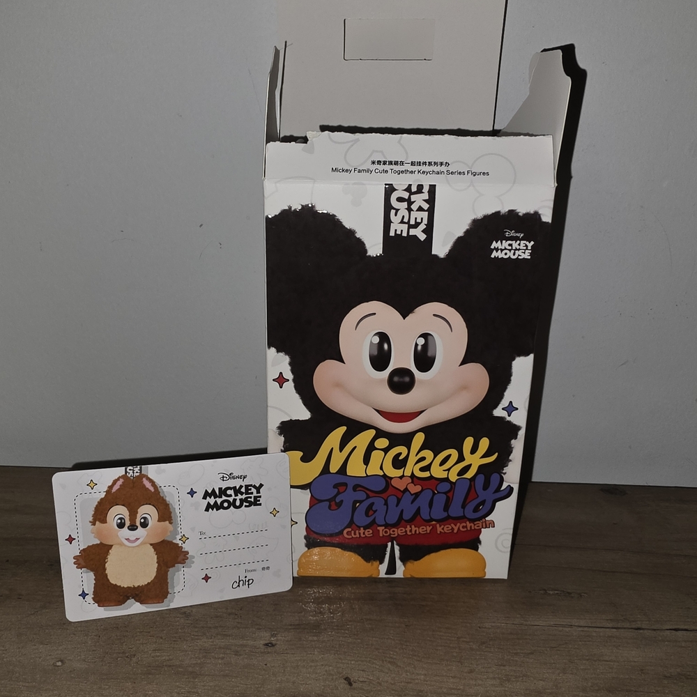 Disney Labubu | Chip